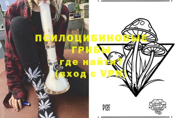 винт Елизово