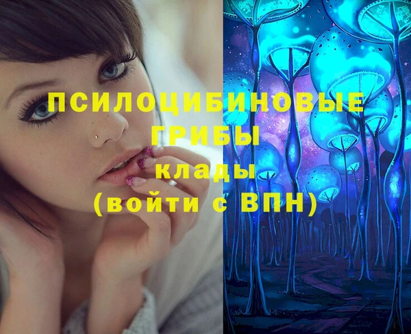 винт Елизово