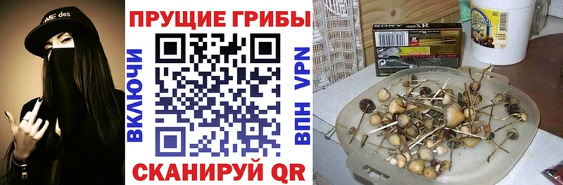 цены   Жердевка  Галлюциногенные грибы ЛСД 
